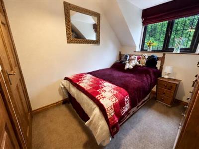 Picture 15